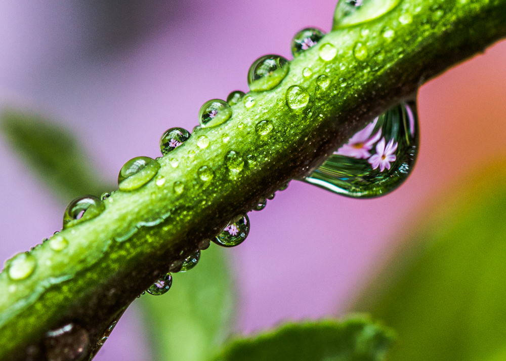 1. Platz Christoph Frank